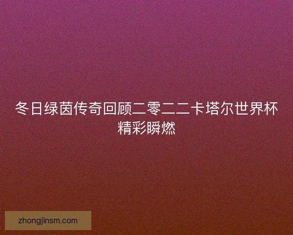 冬日绿茵传奇回顾二零二二卡塔尔世界杯精彩瞬燃 冬日绿茵传奇回顾二零二二卡塔尔世界杯精彩瞬燃