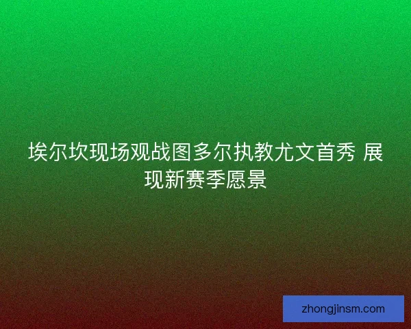 埃尔坎现场观战图多尔执教尤文首秀 展现新赛季愿景